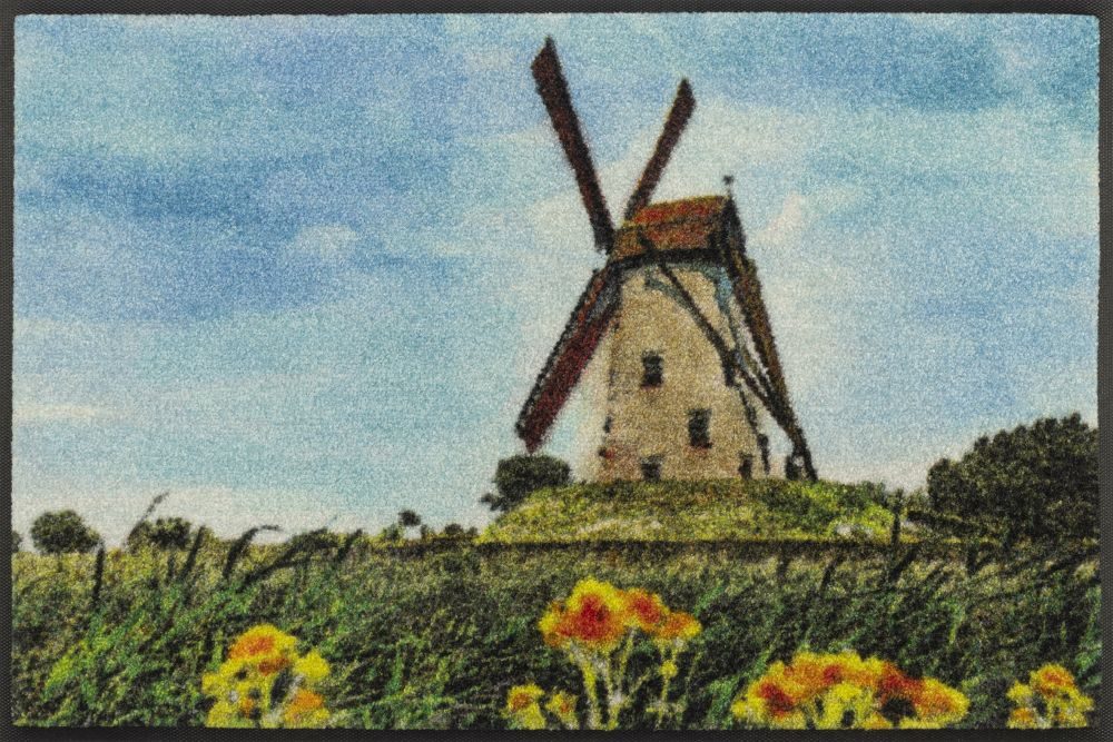 Wash & Dry doormat WINDMOLEN 50/75 cm